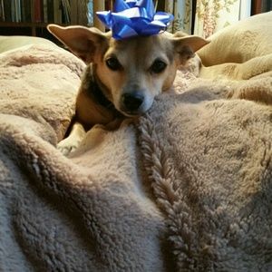 Meet your Posher, Amy